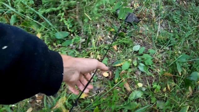 Рыбалка с ночевкой В ДИКОМ МЕСТЕ! Еда на костре, УДОЧКА ДУГОЙ ОТ ЭТИХ РЫБ!!! смотреть онлайн