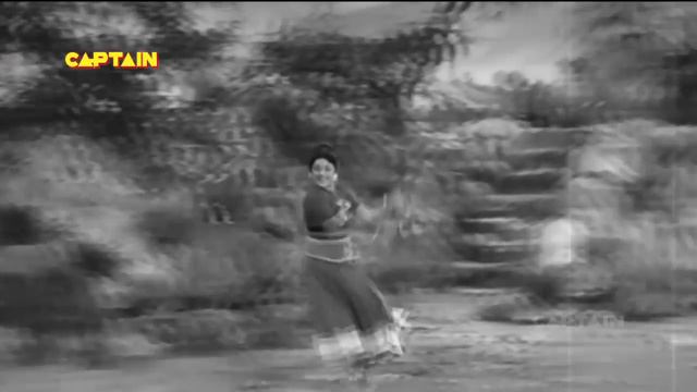 Padmini | Bollywood Classics | Popular Bollywood Songs [HD] | Hit Hindi Songs