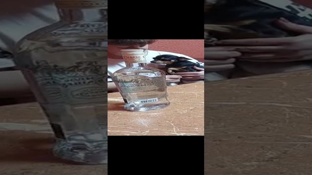 Собака Той-терьер охраняет бутылку. смотреть онлайн