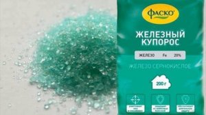 ЧЕРНЫЙ РАК НА ПЛОДОВЫХ ДЕРЕВЬЯХ