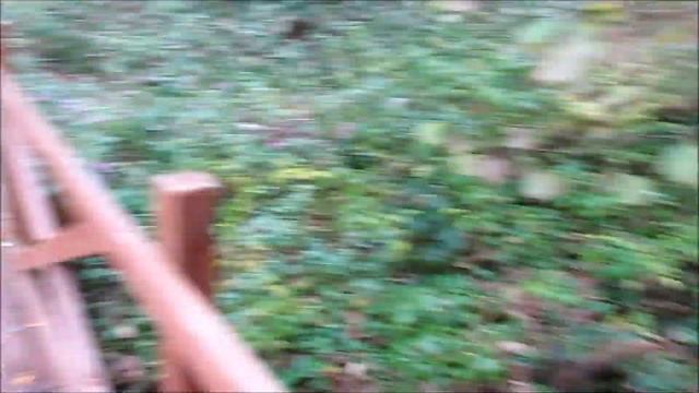 Зеленоград и окрестности. Городской туризм. осень 2016 г. ч. 1 смотреть онлайн