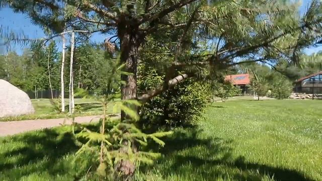 SunHill - элитная недвижимость в Санкт-Петербурге смотреть онлайн
