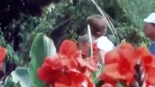 СССР. 1977 год. Ялта. Крым. Кинохроника. смотреть онлайн