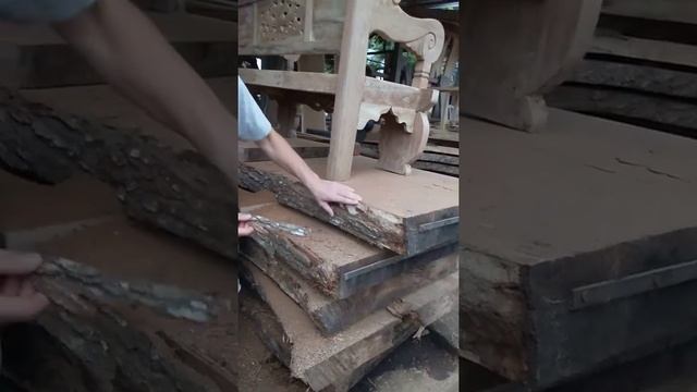 Суар и карагач, в чем отличия? смотреть онлайн