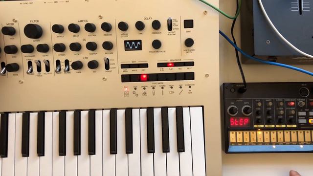 No. 12 Tinkering - Korg Minilogue, Korg Volca Beats, Echo Base Delay, and Lexicon LXP-1 смотреть онлайн
