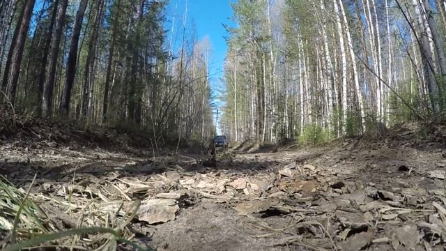 Металлокоп в тайге. Первый трак в сезоне 2021. смотреть онлайн