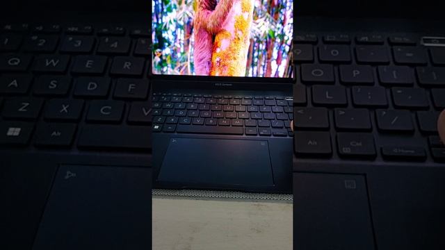 Zenbook 14 OLED (UX3402, 12th Gen Intel I7) Running Ubuntu 22.04 Jammy Jellyfish & Windows Dual Boo