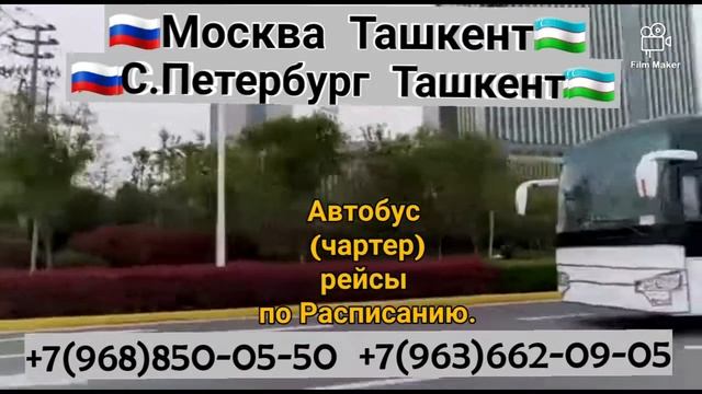 Москва Ташкент автобус чартер рейс билеты по расписанию смотреть онлайн