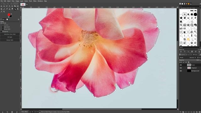 Path Tool Basics in Gimp Explained смотреть онлайн