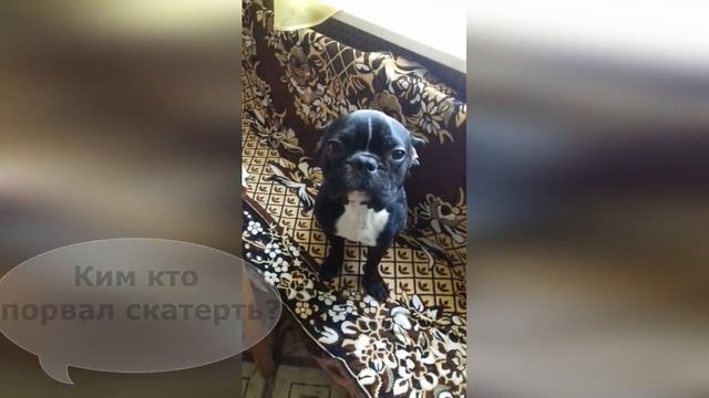 как выйти сухим из воды? смотреть онлайн