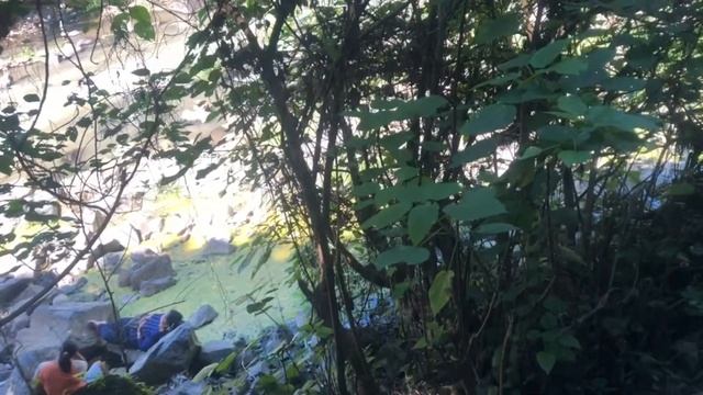 Tegenungan Waterfall - Ubud, Bali, Indonesia /// The Bucket List смотреть онлайн