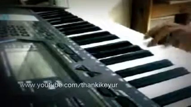 Karaoke music video смотреть онлайн