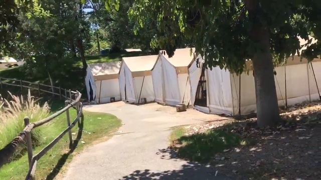 USA VLOG: Мои каникулы в Америке🇺🇸 Самый лучший зоопарк в мире! Я спасла человека) смотреть онлайн