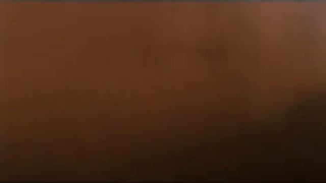 Александр Розенбаум  'Чёрный тюльпан'