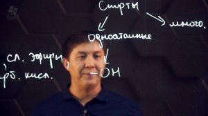 80. Спирты. 9 класс.