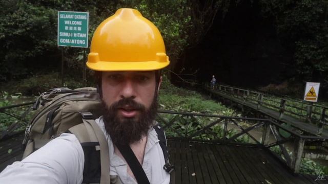 Wildlife photography on the Kinabatangan River (Sabah - Borneo) смотреть онлайн