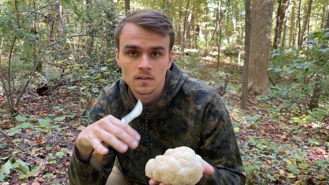 The Mushroom That Tastes JUST Like Crab | Lion's Mane Foraging смотреть онлайн