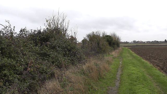 NHRG e-walks, e-walk 21, Willington Circular. 22/11/19. смотреть онлайн