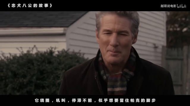 【越哥】豆瓣9 2分，一部零差评的催泪电影，看一次哭一次！速看《忠犬八公的故事》 смотреть онлайн