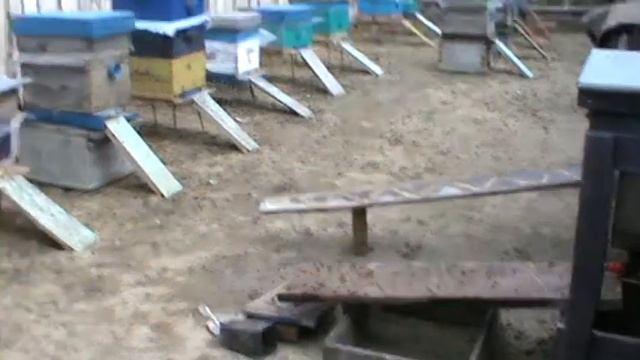 поилка для пчел смотреть онлайн