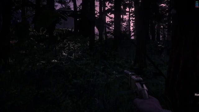 RDR2 3 NVIDIA Freestyle смотреть онлайн