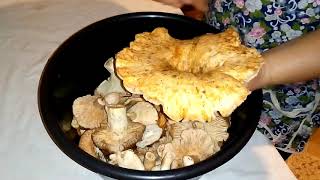 Домашних дел истории