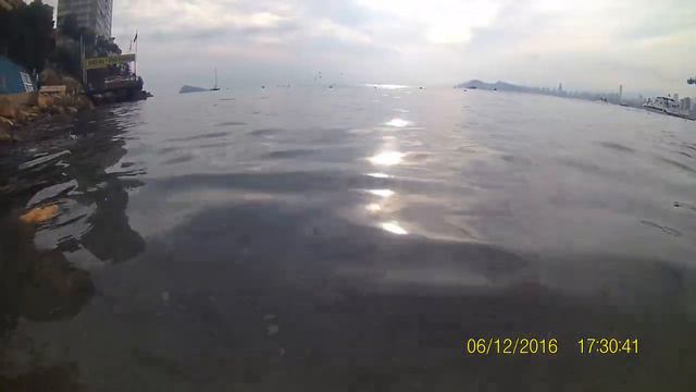 Крабы и мелкая рыбешка возле камней на пляже Бенидорма смотреть онлайн