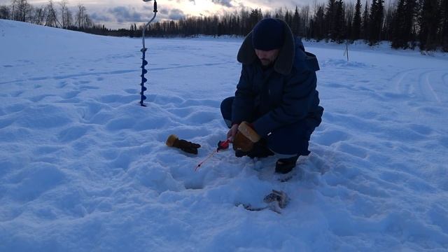 РЫБАЛКА НА СЕВЕРЕ / ЛОВЛЮ ОКУНЯ НА БЛЕСНУ / ДУШЕВНЫЙ ОТДЫХ. смотреть онлайн