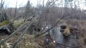 Ловля - Рыбалка на Хариуса октябрь 2018 (Хариус на зубы ШАМАНА))р.Юзик