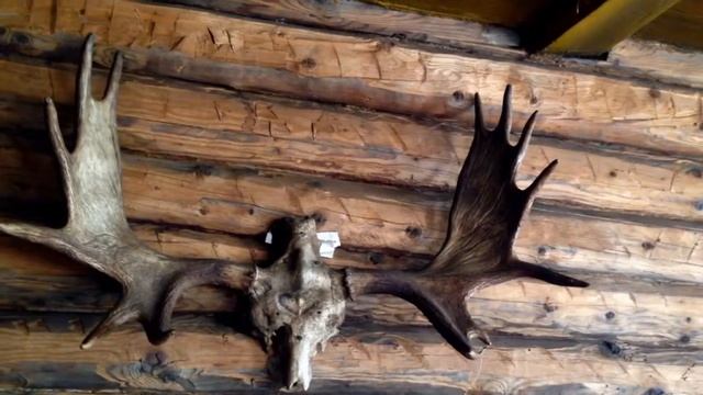 Уют Байсакала смотреть онлайн