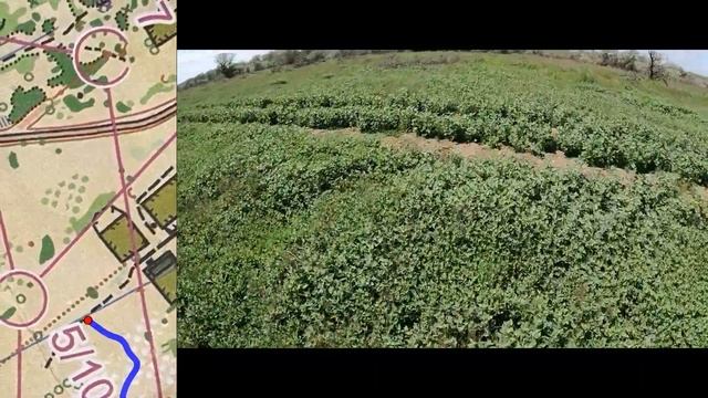 Спортивное ориентирование (headcam orienteering) - Кубок Победы - 12 Пост 1 день - 06.05.2023 смотреть онлайн