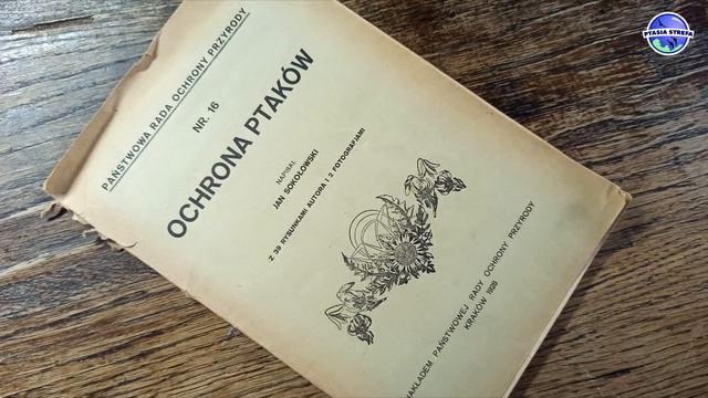 Budki Sokołowskiego - historia prawdziwa смотреть онлайн