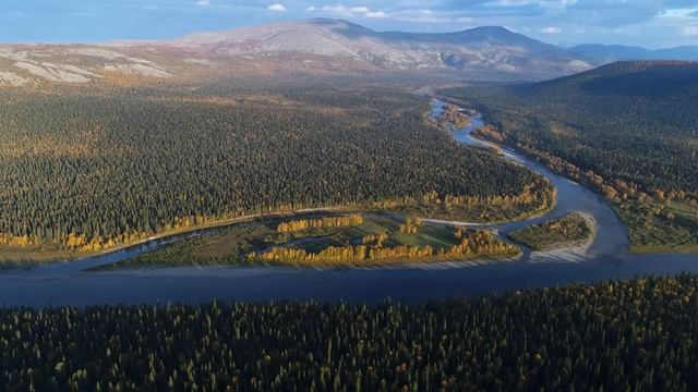70 ИНТЕРЕСНЫХ ФАКТОВ О ДЕРЕВЬЯХ смотреть онлайн