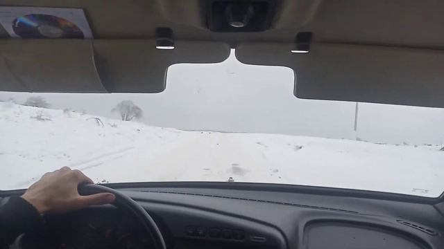 ЧЕЧЕНЕЦ КОШКЕЛЬДЫ ЧЕЧНЯ 19 февраля 2021 г.