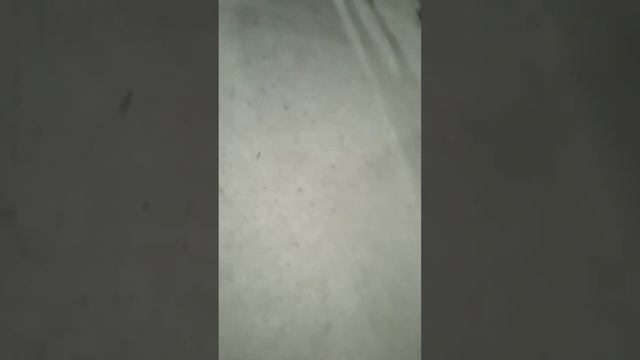 Туй Карл Маркс 04 02 2023 смотреть онлайн