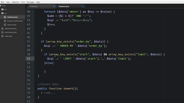 PHP OOP & PDO Dynamic CRUD (Lang Bengali): Part-08 смотреть онлайн