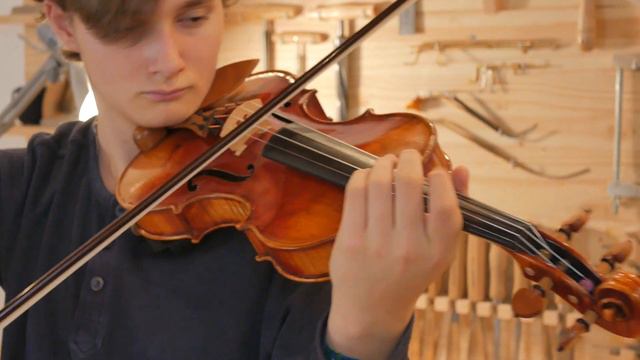 Violino 