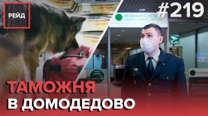 БРИЛЛИАНТЫ НА 18 МЛН | ЗАПРЕЩЕННЫЕ ВЕЩЕСТВА | КАК РАБОТАЕТ ТАМОЖНЯ В ДОМОДЕДОВО? - РЕЙД #219