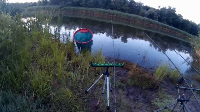 Ловля карася в июле. Фидер и убийца карася. смотреть онлайн