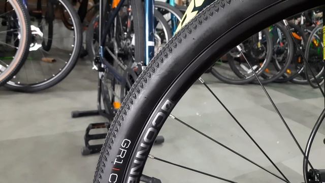 TREK Dual Sport 2 (2021) Review & Features