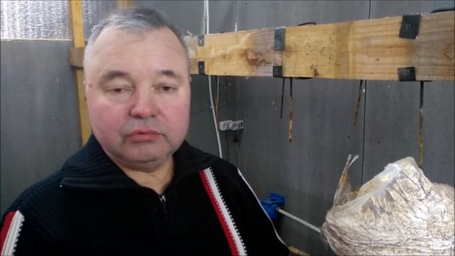 О камышовом субстрате для грибного блока смотреть онлайн