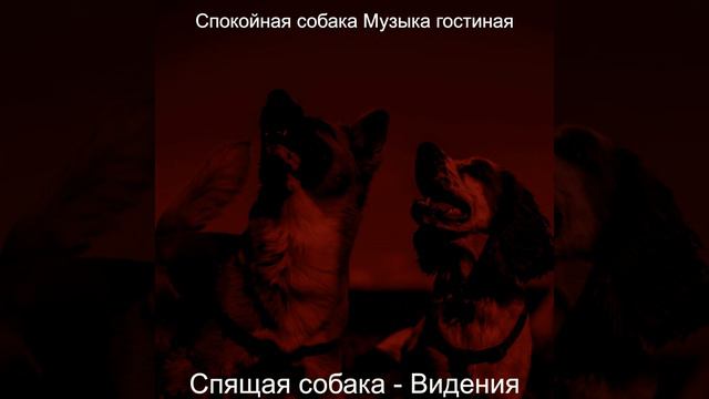 Созерцая (Милые Собаки) смотреть онлайн