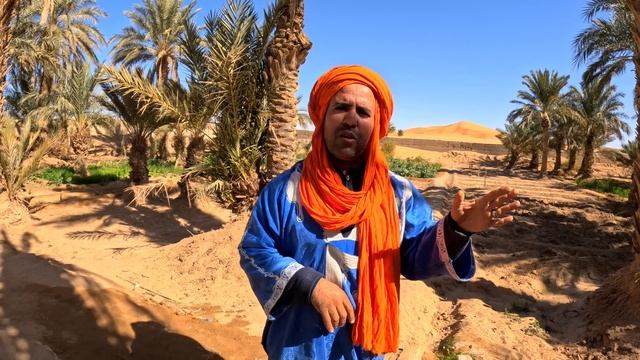 DESERT OASIS explained: this is how they do it. |S7 - E7| смотреть онлайн