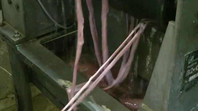 Мойка кишек смотреть онлайн