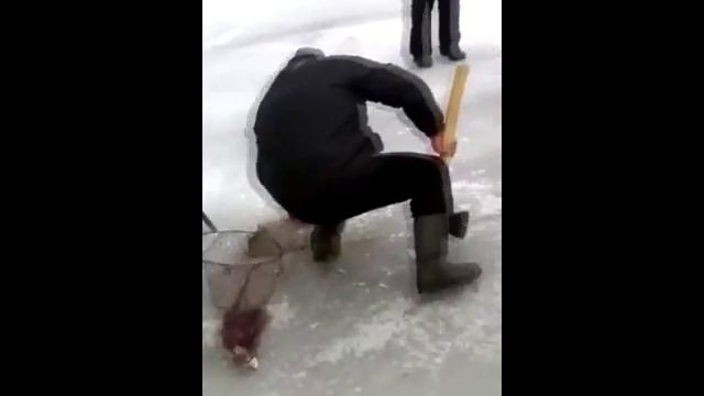Красный Кут, Кировоград смотреть онлайн