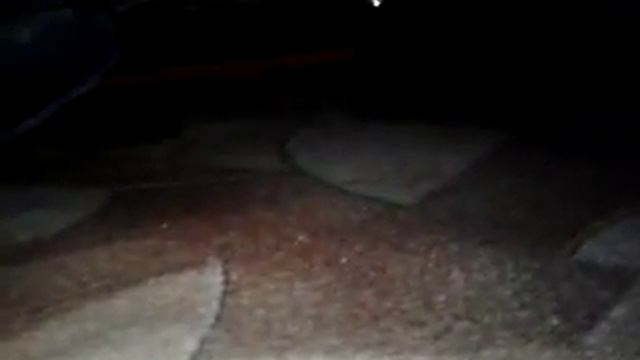 Cлон и чёрный кот под кроватью смотреть онлайн