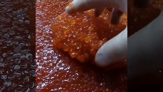 Икра Красная в Томске ЧАВЫЧА!Камчатская! Икринка к Икринке! Икра,креветки,мясо краба,рыба! ikra70.r смотреть онлайн