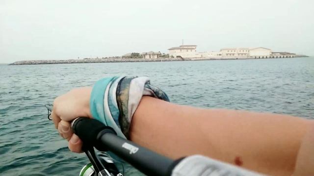 Fishing in Dubai , Рыбалка в Дубае Blackspot Snapper , UAE Fishing смотреть онлайн