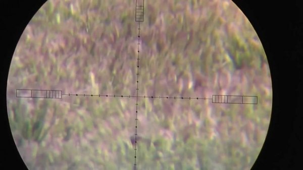 PCP пневматика. Дальний выстрел 25 cal (6.35мм)  Hatsan BT65  