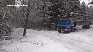 Лесовоз Mercedes Benz Actros